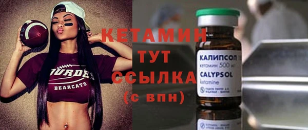 хмурый Каменка