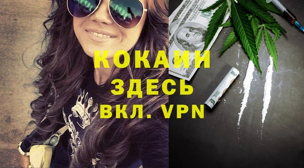 хмурый Каменка