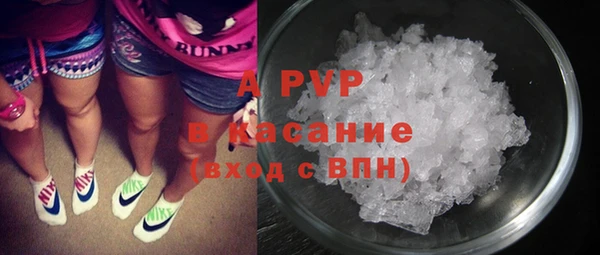 индика Каменногорск