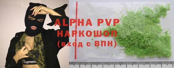 индика Каменногорск