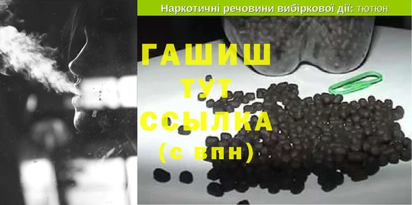 индика Каменногорск