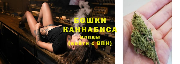 индика Каменногорск