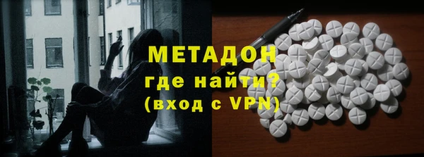 индика Каменногорск