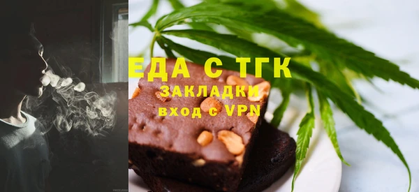 индика Каменногорск