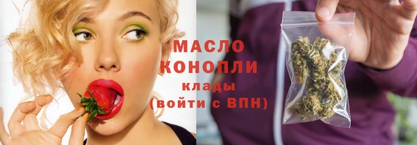 индика Каменногорск