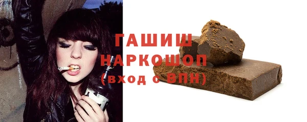 индика Каменногорск