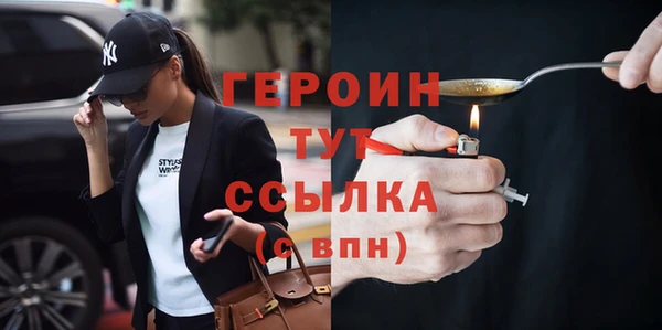индика Каменногорск