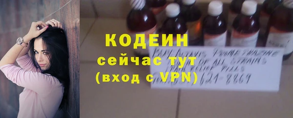 хмурый Каменка