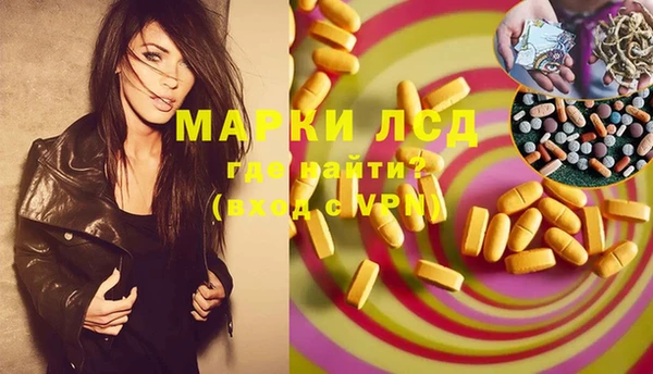 хмурый Каменка