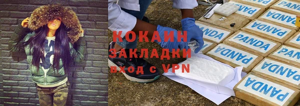 индика Каменногорск