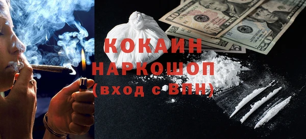 хмурый Каменка