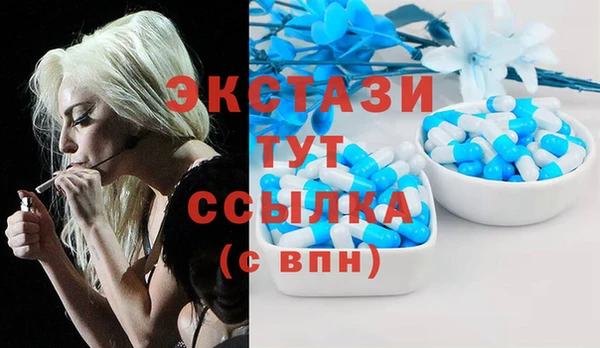 хмурый Каменка