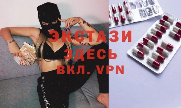 хмурый Каменка