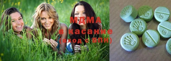 индика Каменногорск