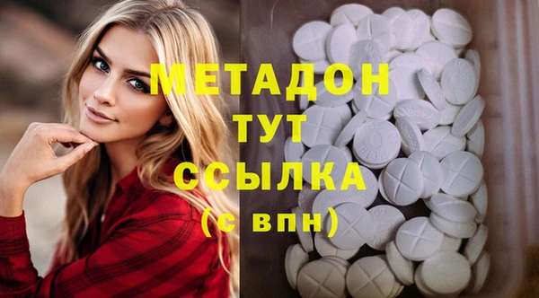 индика Каменногорск