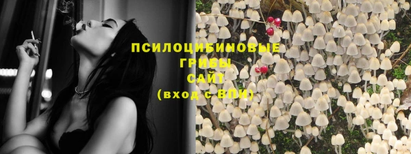 хмурый Каменка