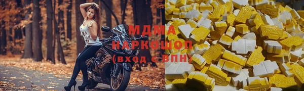 индика Каменногорск