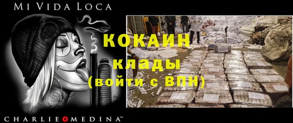 хмурый Каменка