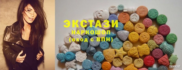 индика Каменногорск