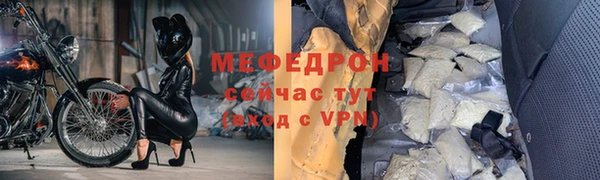 индика Каменногорск