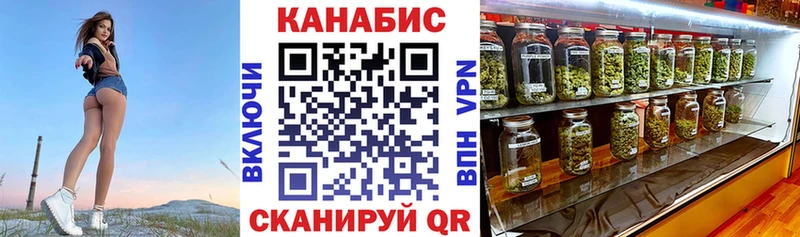 Каннабис семена  Купить где  Гусев 